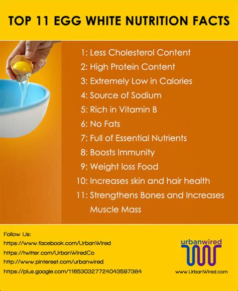 Top 11 Egg White Nutrition Facts You Should Know! #egg white nutrition | Egg white nutrition ...