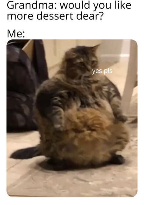 Chonky boi