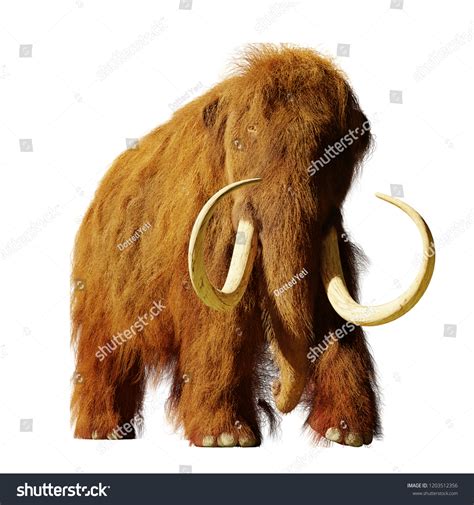 Woolly Mammoth Extinct Prehistoric Elephant Species 스톡 일러스트 1203512356 ...