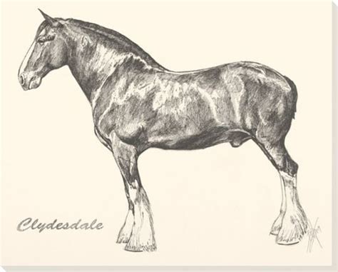 Clydesdale Horse Wrapped Canvas Giclee Print Wall Art - Wall Decor - Artwork