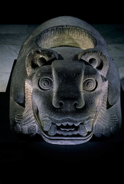 Jaguar shaped receptacle for hearts of sacrifice victims. Aztec, Mexico. Templo Mayor. | Aztec ...