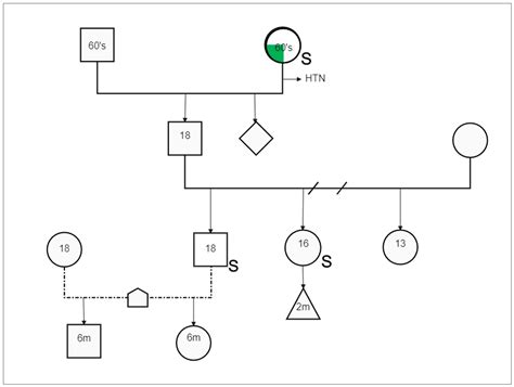 Family Systems Genogram Symbols