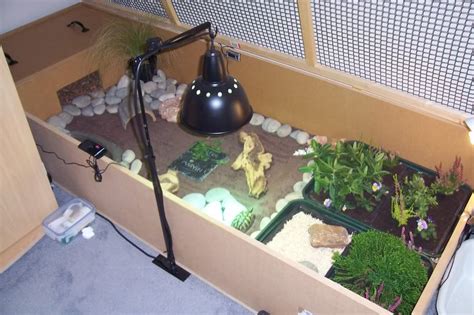 INDOOR enclosures - Page 2 - Reptile Forums | Tortoise enclosure ...