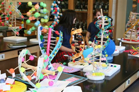 Freshmen biology students create colorful models of cells and DNA every year. | Fun science ...