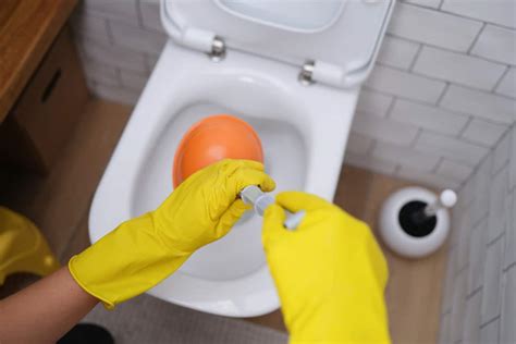 How to deal with a clogged toilet? | Reliability Home Services