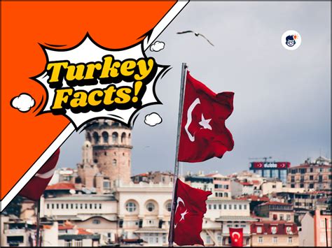 28 Amazing Turkey Facts That Everyone should know