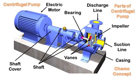 Centrifugal Pump - Fluid Mechanics - Chemo Concept