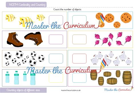 Cardinality and Counting: Counting objects of different sizes (1) - Master The Curriculum