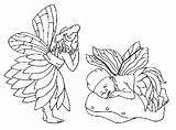 Coloring Elfi Disegni Cool2bkids Elves Ausmalbild Elfe Kostenlos  sketch template