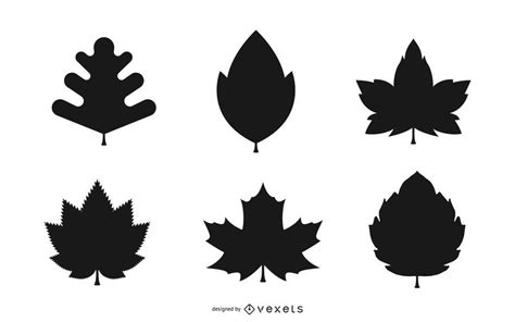 Autumn Leaves Silhouette Set In Black - Vector Download