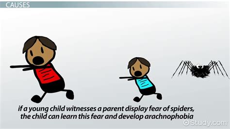 Arachnophobia: Definition, Treatment & Symptoms - Video & Lesson Transcript | Study.com