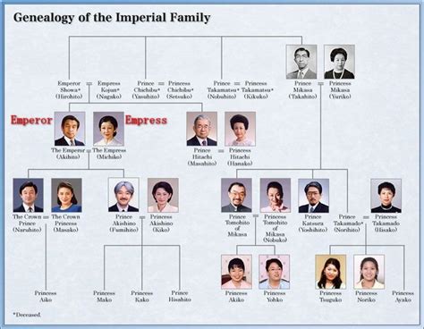 Japan to Review Emperor's Abdication Wishes and Future of Imperial ...