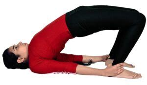 How To Do Setu Bandhasana- Steps, Benefits And Precautions - Yogachoice4u