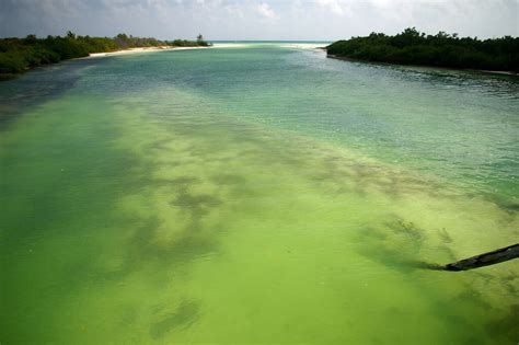 Sian Ka'an: Sian Ka'an Biosphere Reserve | LAC Geo