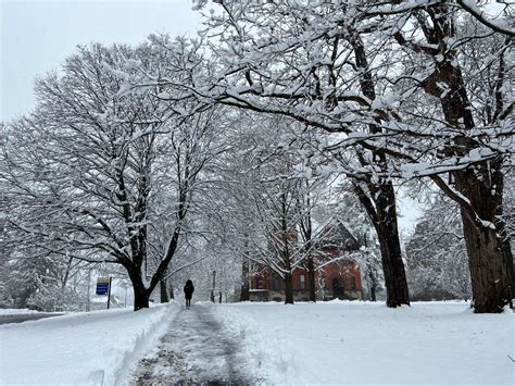 See how much snow fell in Upstate NY’s first widespread snow storm of ...