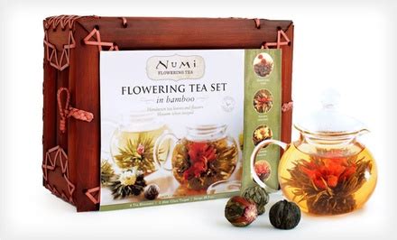 Numi Organic Tea Flowering Gift Set | Groupon