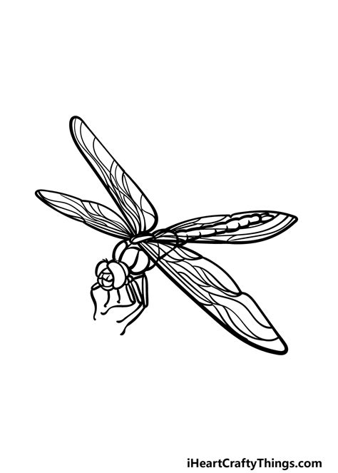 Dragonfly Drawing Images