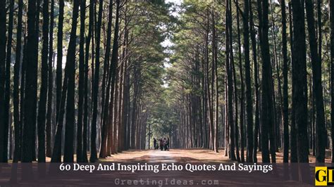 60 Deep And Inspiring Echo Quotes And Sayings