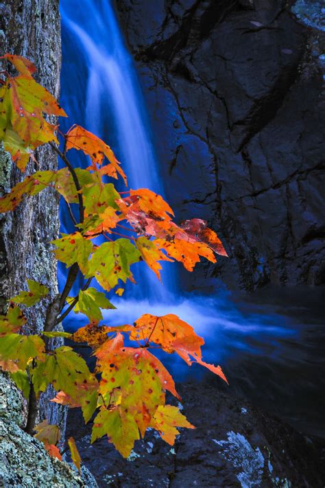 Mina Sauk Falls at Taum Sauk Mountain State Park in southern Missouri ...