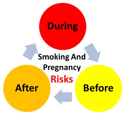 quit smoking : Smoking And Pregnancy : Risks Before, During And After