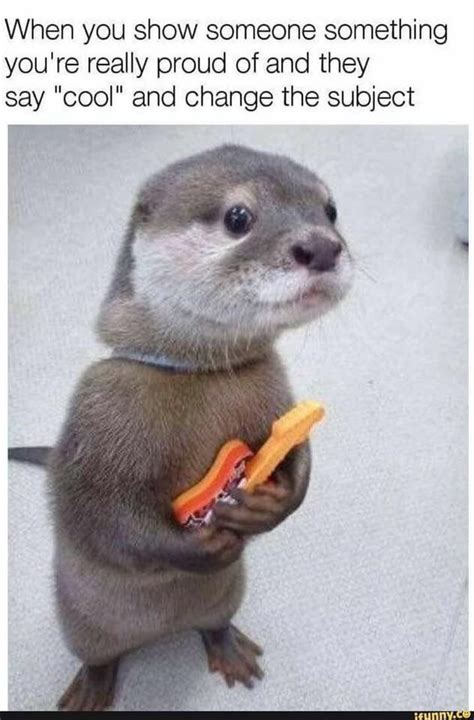 Otters Cute, Baby Otters, Funny Animal Memes, Funny Animals, Funny Memes, Animals And Pets, Wild ...