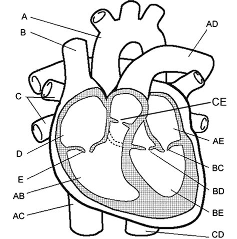 heart image