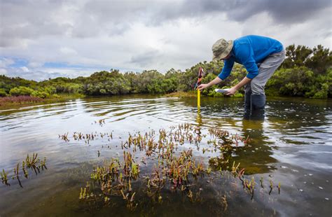 5 Ways Wetlands are Crucial to Climate Change Adaptation - Global Center on Adaptation