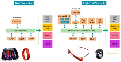 ARM technology driving the wearable trend - Embedded blog - Arm ...