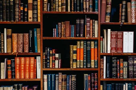 law assorted-title of books piled in the shelves library Image - Free Stock Photo