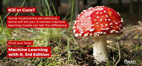 Identifying Poisonous Mushrooms with Rule Learners