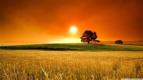 Summer Sunset Wallpapers - Top Free Summer Sunset Backgrounds - WallpaperAccess