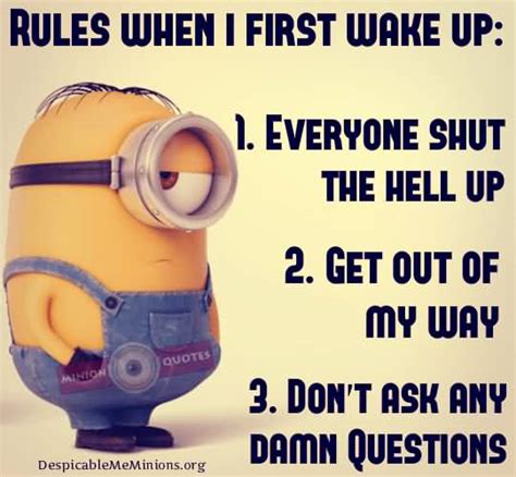 Funny Wake Up Quotes Meme Image 21 | QuotesBae