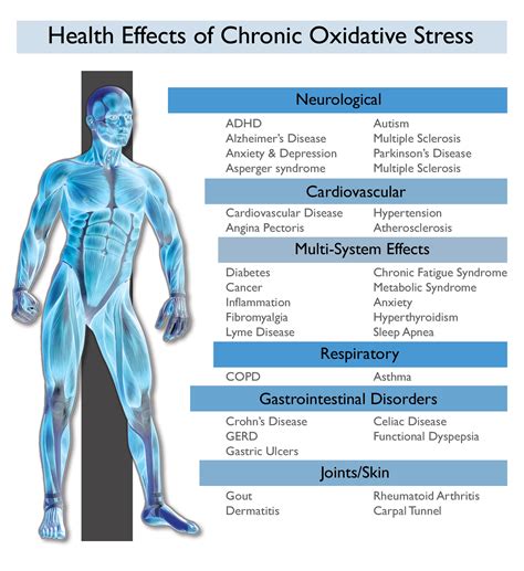 Healthy Aging: Salimetrics Uric Acid Assay Kit Facilitates High-Efficiency Oxidative Stress ...