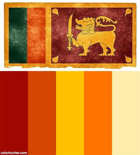 Sri Lanka Grunge Flag Color Palette | Sri lankan flag, Flag colors, Sri ...