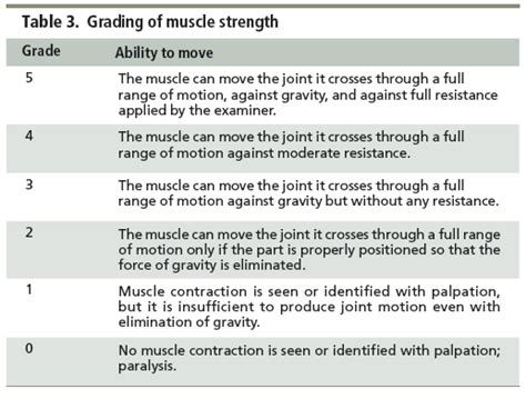 muscle strength grading | How Muscle Works, and the Implications of Exercising | Aging in Motion ...