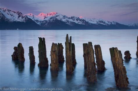 Alaska Kenai Peninsula | Photos by Ron Niebrugge