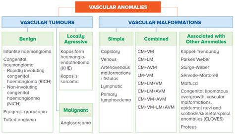 Vascular anomalies classification - SingHealth Duke-NUS Vascular Centre