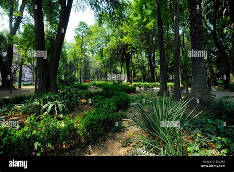 Parque mexico condesa hi-res stock photography and images - Alamy