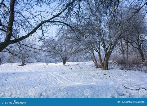 Snow slide in the park stock photo. Image of beauty - 127628072