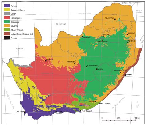 Water | Free Full-Text | Review of In-Situ and Remote Sensing-Based ...