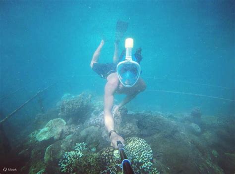 Snorkeling in Nusa Dua Bali - Klook Australia