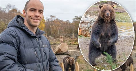 Heartbreak as Wild Ireland bear Aurnia dies during procedure - Donegal ...