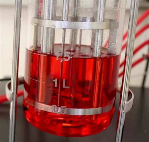 Video Tutorial - The Impact of Sparging on Cell Culture in Bioreactors