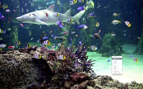 Live Aquarium Wallpaper Windows 7 - WallpaperSafari