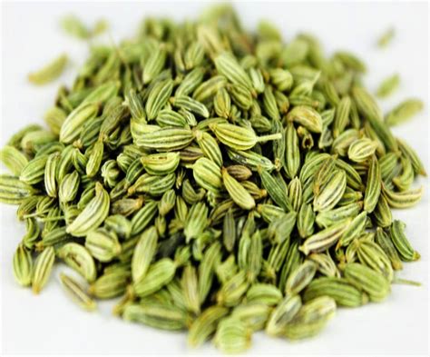 Amazing Benefits of Fennel seeds |HerbHealtH