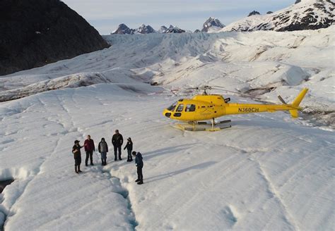 Juneau Icefield Helicopter Tour | Helicopter tour, Juneau, Wildlife tour