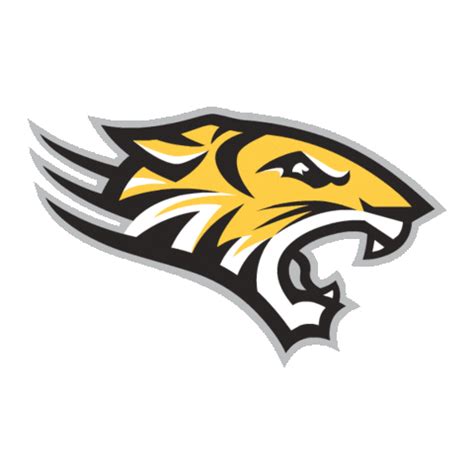 Football Basketball Sticker by Towson University for iOS & Android | GIPHY