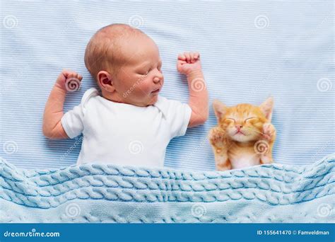 Baby Boy Sleeping with Kitten. Child and Cat Stock Photo - Image of ...