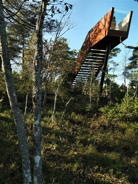 10+ Mysterious Random Staircases in the Woods From Reddit