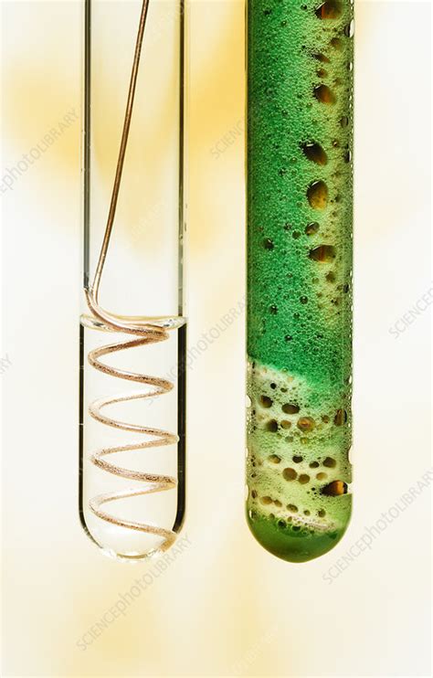 Copper reactivity - Stock Image - C044/5780 - Science Photo Library